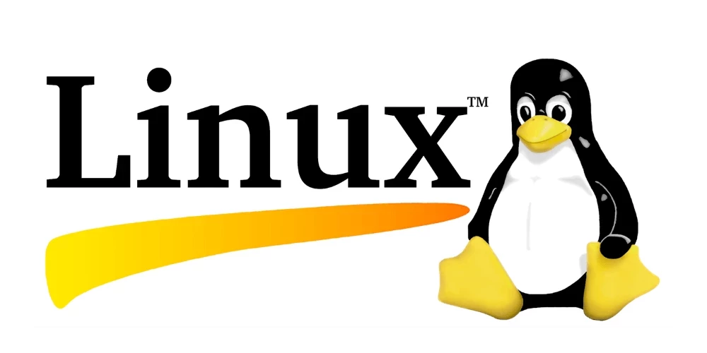 Useful Linux Commands to sort, list and find in directories